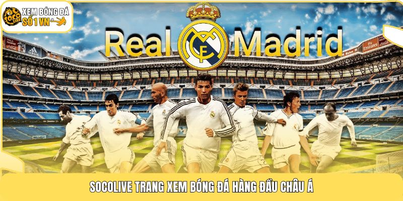 Trang chủ 172 Socolive trang xem bóng đá hàng đầu châu Á